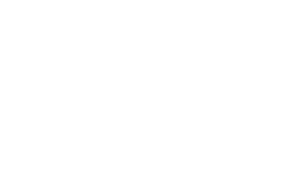 Sai logo