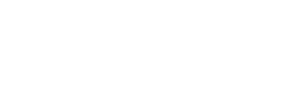 Saiudja logo